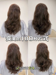 -蚂蚁造型俱乐部