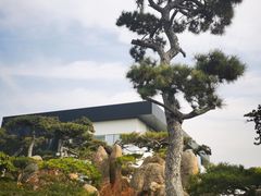 -罗红摄影艺术馆