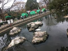 -昆明动物园