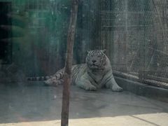 -五龙山野生动物王国