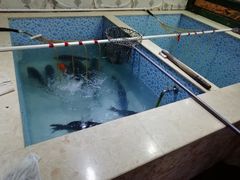 -宁记柴火灶台鱼·全鱼宴(龙源小区店)