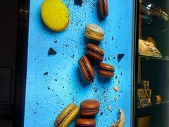 -Paul Lafayet(K11 Art Mall店)