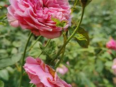 -人民公园(罗湖区)