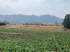 -黟县屏山村