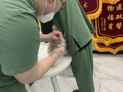 -悦宠动物医院(京丰分院)