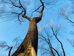 -元大都城垣遗址公园