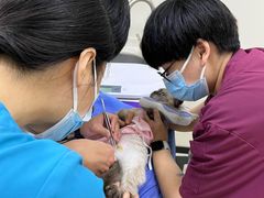 -美联众合动物医院·24h京西诊疗中心