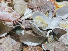 -虾宝贝胶东海鲜·渔家菜(小西天店)