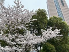 -黄兴公园