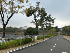 -中山市树木园