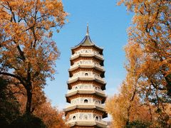 -灵谷景区