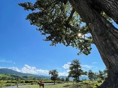-新疆那拉提国家旅游度假区