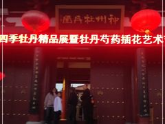 -神州牡丹园