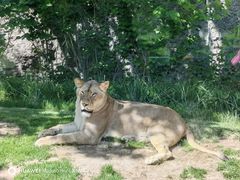-北京野生动物园