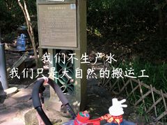 -虎跑公园