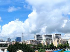 -白鹭洲公园