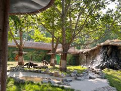 -北京野生动物园