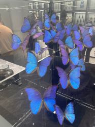 -酷嗒动物文化乐园(cutezoo西溪乐天城店)