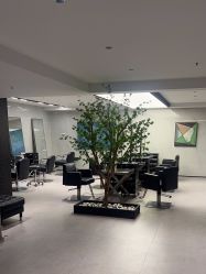 -付军剪艺JF ProSalon
