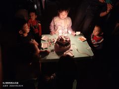 -维尔纳斯·生日蛋糕动物奶油冰淇淋蛋糕(人大店)