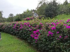 -世界恐龙谷景区