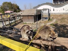 -宁波杭州湾国家湿地公园