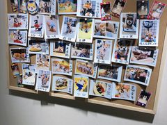 -逗柴咖啡屋·狗咖猫咖宠物桌游