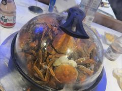 -半岛听涛蒸汽海鲜自助(K11店)