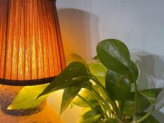 -八十八粉儿(尚都店)