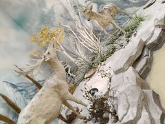 -西霞口神雕山野生动物世界