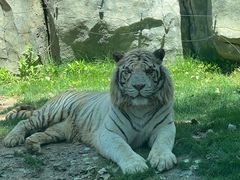 -北京野生动物园