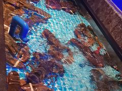 -忆江南·临江鱼馆