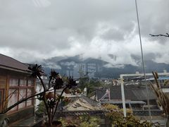 -唐咖精品咖啡(大理古城手冲店)