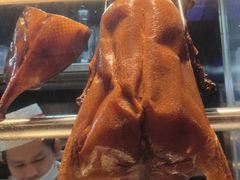 -新兴·金羊座·粤菜点心(乐峰店)
