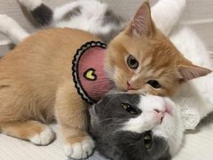 -阿香米线(天津凯德餐厅店)