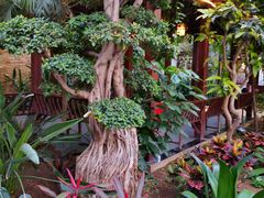 -北镇龙岗子生态园