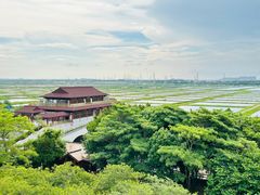 -大湾区中央湿地公园