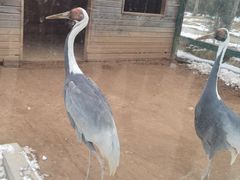 -淇河国家湿地公园