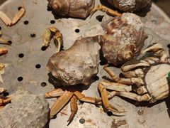 -一方渔歌蒸汽海鲜自助(文化路万达广场店)