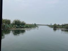 -白洋淀景区