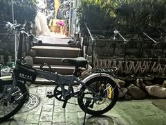 -道路口单车爱瓦士dahon大行