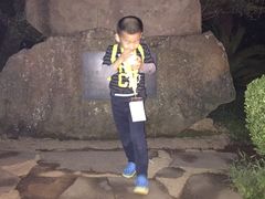 -汉拿树木园