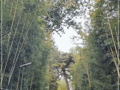 -红螺寺