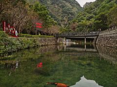 -宁波五龙潭景区