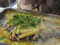-陈生记黑鱼馆·20年活鱼现杀(宁波鼓楼店)