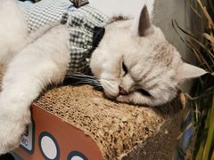 -小时光咖啡馆(北锣鼓巷店)