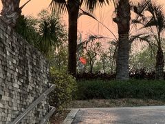 -宝安西湾红树林湿地公园