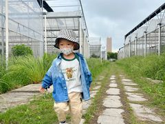 -菊园百果园