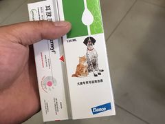 -美联众合宠物医院·爱萌分院·内外科·猫科中心