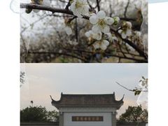 -火炉山森林公园
